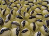 OLHO DE SOGRA - SIMPLES